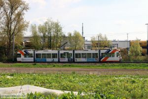 Bild: rnv5613_bk2105030008.jpg - anklicken zum Vergr&ouml;&szlig;ern