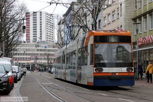 Bild: rnv5613_bk2502250022.jpg - anklicken zum Vergrößern