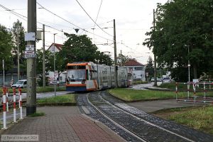 Bild: rnv5614_bk2106040020.jpg - anklicken zum Vergrößern