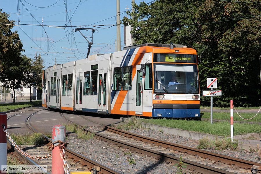 Straßenbahn Mannheim - 5614
/ Bild: rnv5614_bk1708190034.jpg