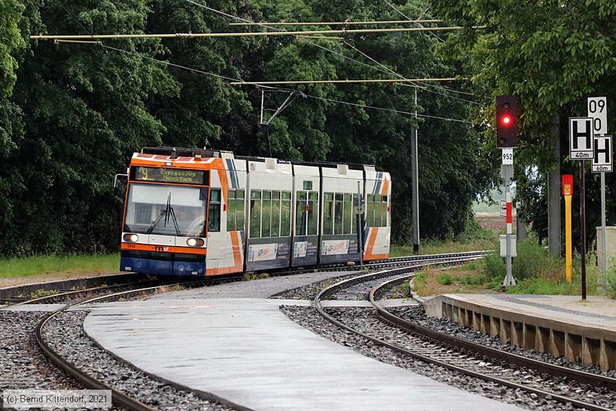 Straßenbahn Mannheim - 5614
/ Bild: rnv5614_bk2106040018.jpg