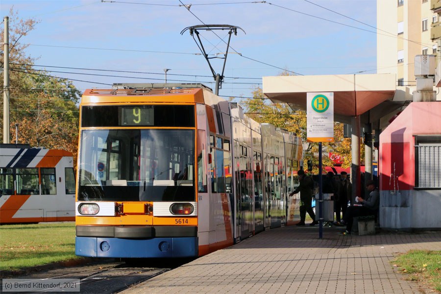 Straßenbahn Mannheim - 5614
/ Bild: rnv5614_bk2110190002.jpg