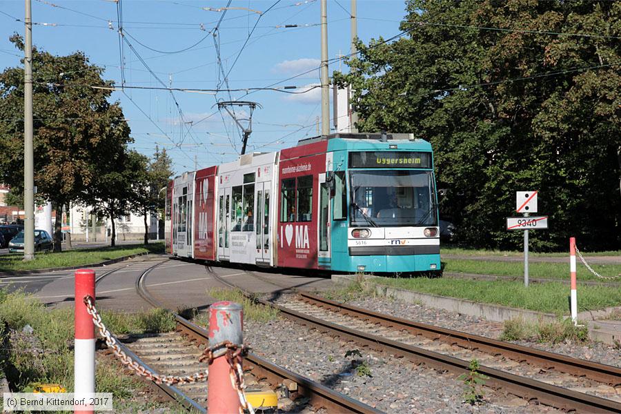 Straßenbahn Mannheim - 5616
/ Bild: rnv5616_bk1708190032.jpg