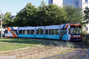 Bild: rnv5617_bk2508090001.jpg - anklicken zum Vergr&ouml;&szlig;ern