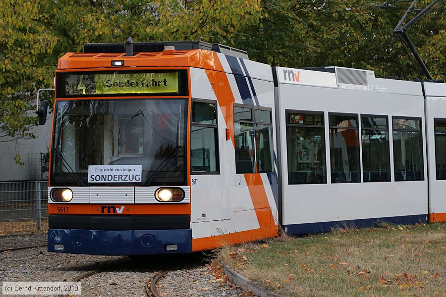 Straßenbahn Mannheim - 5617
/ Bild: rnv5617_bk1811020002.jpg