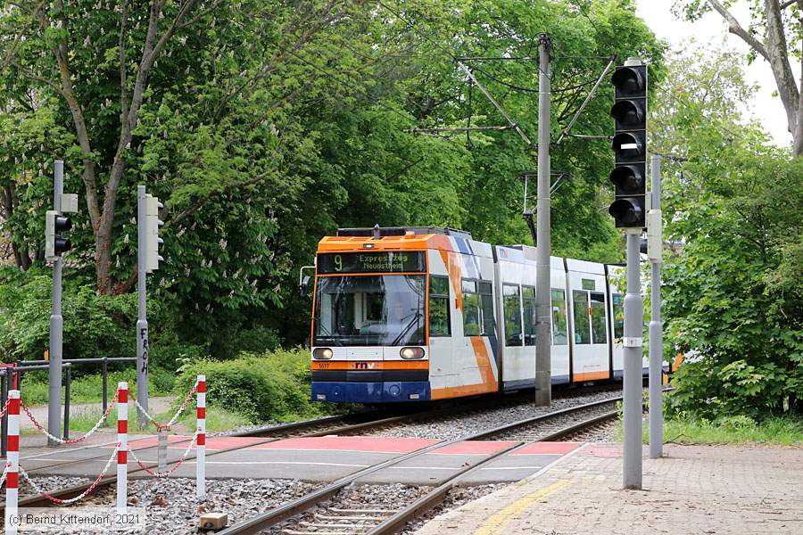 Stra&szlig;enbahn Mannheim - 5617
/ Bild: rnv5617_bk2105200008.jpg