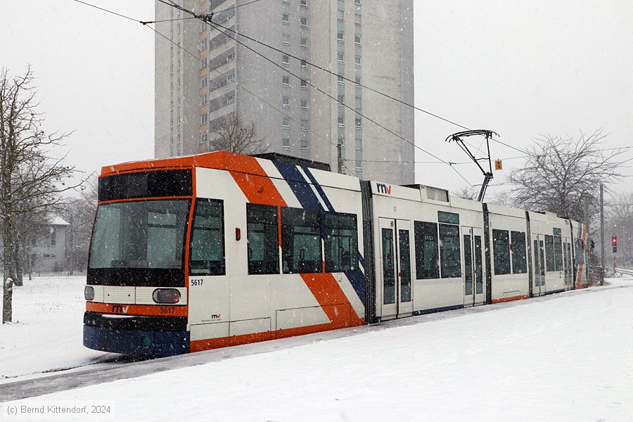Straßenbahn Mannheim - 5617
/ Bild: rnv5617_bk2401180002.jpg