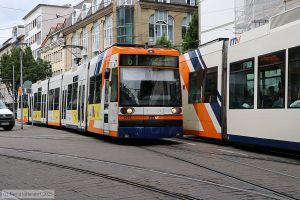 Bild: rnv5618_bk2506020027.jpg - anklicken zum Vergr&ouml;&szlig;ern