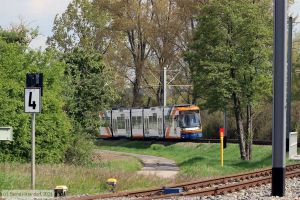 Bild: rnv5620_bk2105030009.jpg - anklicken zum Vergr&ouml;&szlig;ern