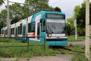 Bild: rnv5621_bk2107010018.jpg - anklicken zum Vergrößern