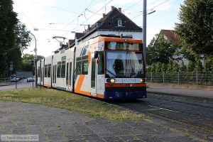 Bild: rnv5625_bk2007230075.jpg - anklicken zum Vergrößern Bild: rnv5625_bk2007230075.jpg - anklicken zum Vergrößern