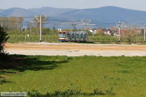 Bild: rnv5625_bk2105030006.jpg - anklicken zum Vergr&ouml;&szlig;ern