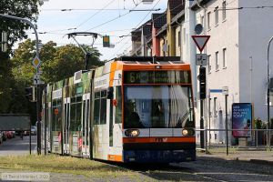 Bild: rnv5630_bk2007230035.jpg - anklicken zum Vergr&ouml;&szlig;ern