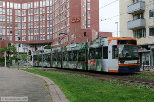 Bild: rnv5630_bk2105120019.jpg - anklicken zum Vergr&ouml;&szlig;ern