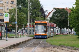 Bild: rnv5634_bk2107170012.jpg - anklicken zum Vergrößern