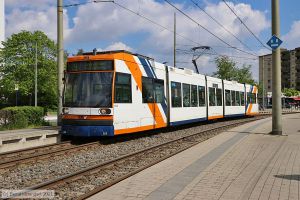 Bild: rnv5638_bk2105030019.jpg - anklicken zum Vergr&ouml;&szlig;ern