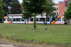 Bild: rnv5647_bk2506020002.jpg - anklicken zum Vergr&ouml;&szlig;ern