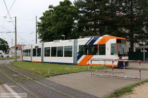 Bild: rnv5647_bk2506020003.jpg - anklicken zum Vergr&ouml;&szlig;ern