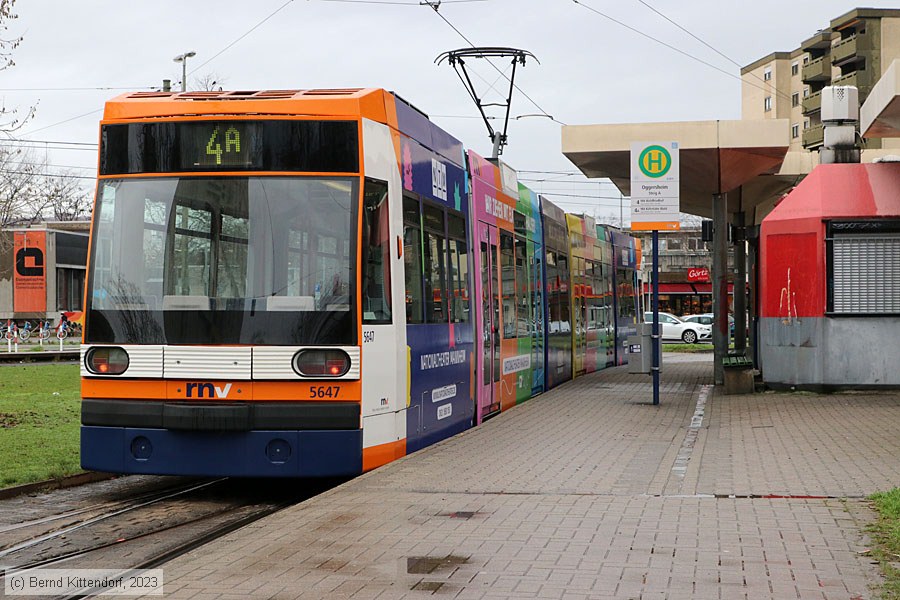 Straßenbahn Mannheim - 5647
/ Bild: rnv5647_bk2301160001.jpg