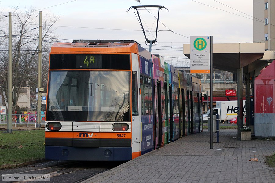 Straßenbahn Mannheim - 5647
/ Bild: rnv5647_bk2312150001.jpg