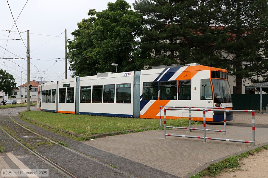 Stra&szlig;enbahn Mannheim - 5647
/ Bild: rnv5647_bk2506020003.jpg