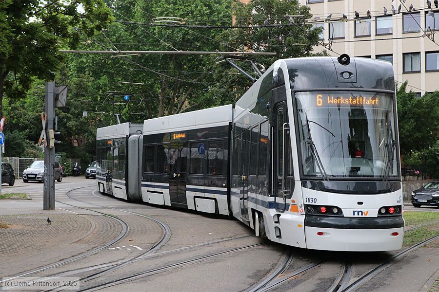 Rhein-Neckar-Verkehr - 1830
/ Bild: rnv1830_bk2506020122.jpg