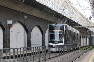 Bild: rnv1862_bk2502110002.jpg - anklicken zum Vergrößern Bild: rnv1862_bk2502110002.jpg - anklicken zum Vergrößern