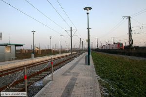 Bild: mannheimanlagen_e0025913.jpg - anklicken zum Vergr&ouml;&szlig;ern