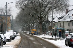 Bild: mannheimanlagen_bk0901050013.jpg - anklicken zum Vergr&ouml;&szlig;ern