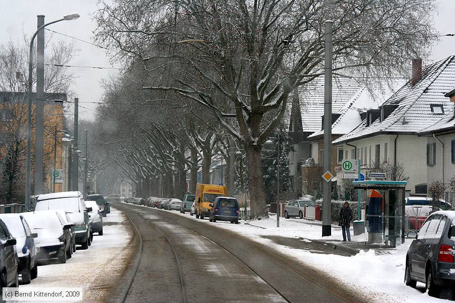 Stra&szlig;enbahn Mannheim - Anlagen
/ Bild: mannheimanlagen_bk0901050013.jpg
