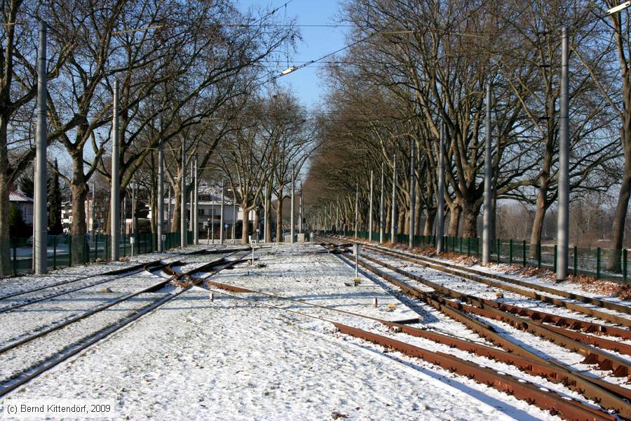 Stra&szlig;enbahn Mannheim - Anlagen
/ Bild: mannheimanlagen_bk0901080002.jpg