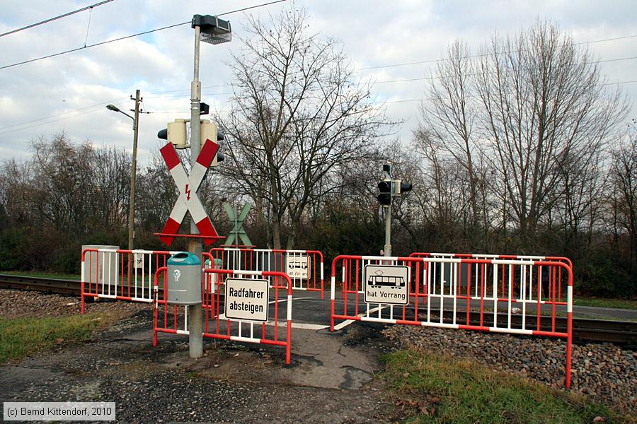 Stra&szlig;enbahn Mannheim - Anlagen
/ Bild: mannheimanlagen_bk1011280199.jpg