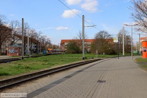 Bild: mannheimanlagen_bk1903270034.jpg - anklicken zum Vergrößern Bild: mannheimanlagen_bk1903270034.jpg - anklicken zum Vergrößern