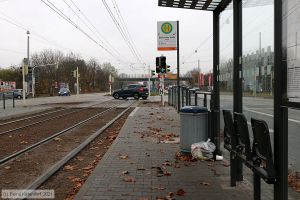 Bild: mannheimanlagen_bk2111130032.jpg - anklicken zum Vergr&ouml;&szlig;ern