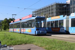 Bild: muenchen2167_bk2508190004.jpg - anklicken zum Vergr&ouml;&szlig;ern