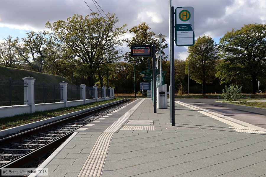 Straßenbahn Potsdam  - Anlagen
/ Bild: potsdamanlagen_bk1810240142.jpg