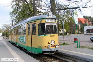 Bild: schoeneiche42_cw010487.jpg