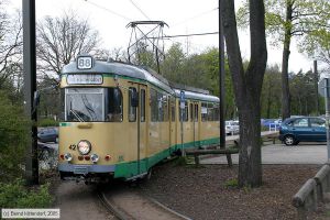 Bild: schoeneiche42_e0016988.jpg