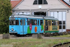 Bild: schoeneiche48_bk2507180081.jpg - anklicken zum Vergr&ouml;&szlig;ern