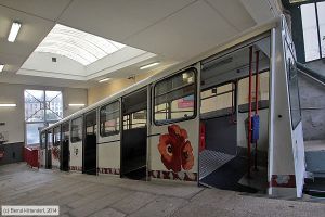 Bild: lehavrefuni1_bk1405080095.jpg - anklicken zum Vergrößern Bild: lehavrefuni1_bk1405080095.jpg - anklicken zum Vergrößern