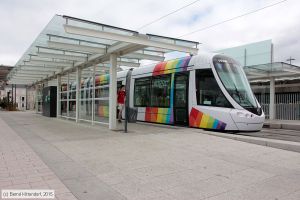 Bild: angers1004_bk1507200029.jpg - anklicken zum Vergr&ouml;&szlig;ern