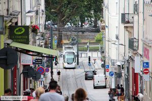 Bild: angers1005_bk1507200234.jpg - anklicken zum Vergr&ouml;&szlig;ern