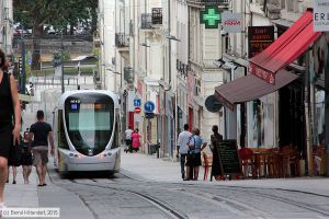 Bild: angers1010_bk1507200231.jpg - anklicken zum Vergr&ouml;&szlig;ern