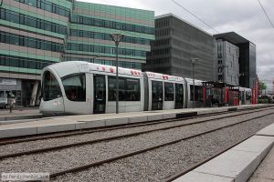 Bild: lyon0882_bk1404300432.jpg - anklicken zum Vergrößern