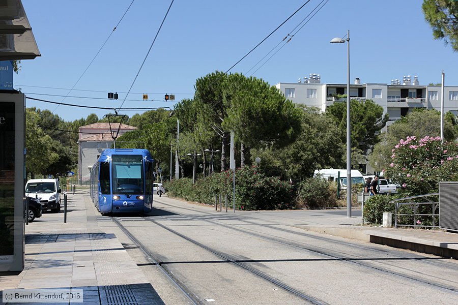 Straßenbahn Montpellier - 2008
/ Bild: montpellier2008_bk1608070073.jpg