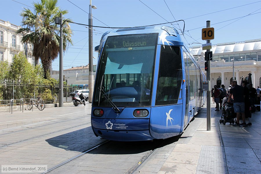 Straßenbahn Montpellier - 2008
/ Bild: montpellier2008_bk1608070076.jpg Straßenbahn Montpellier - 2008
/ Bild: montpellier2008_bk1608070076.jpg