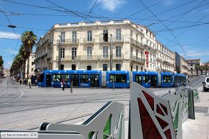 Bild: montpellier2024_bk1406250175.jpg - anklicken zum Vergrößern Bild: montpellier2024_bk1406250175.jpg - anklicken zum Vergrößern