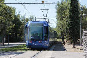Bild: montpellier2027_bk1608070011.jpg - anklicken zum Vergrößern Bild: montpellier2027_bk1608070011.jpg - anklicken zum Vergrößern