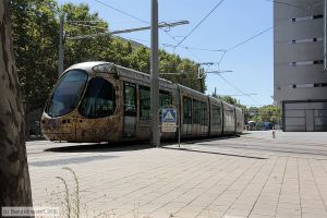 Bild: montpellier2033_bk1608050092.jpg - anklicken zum Vergrößern Bild: montpellier2033_bk1608050092.jpg - anklicken zum Vergrößern
