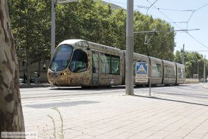 Bild: montpellier2041_bk1608050095.jpg - anklicken zum Vergrößern Bild: montpellier2041_bk1608050095.jpg - anklicken zum Vergrößern